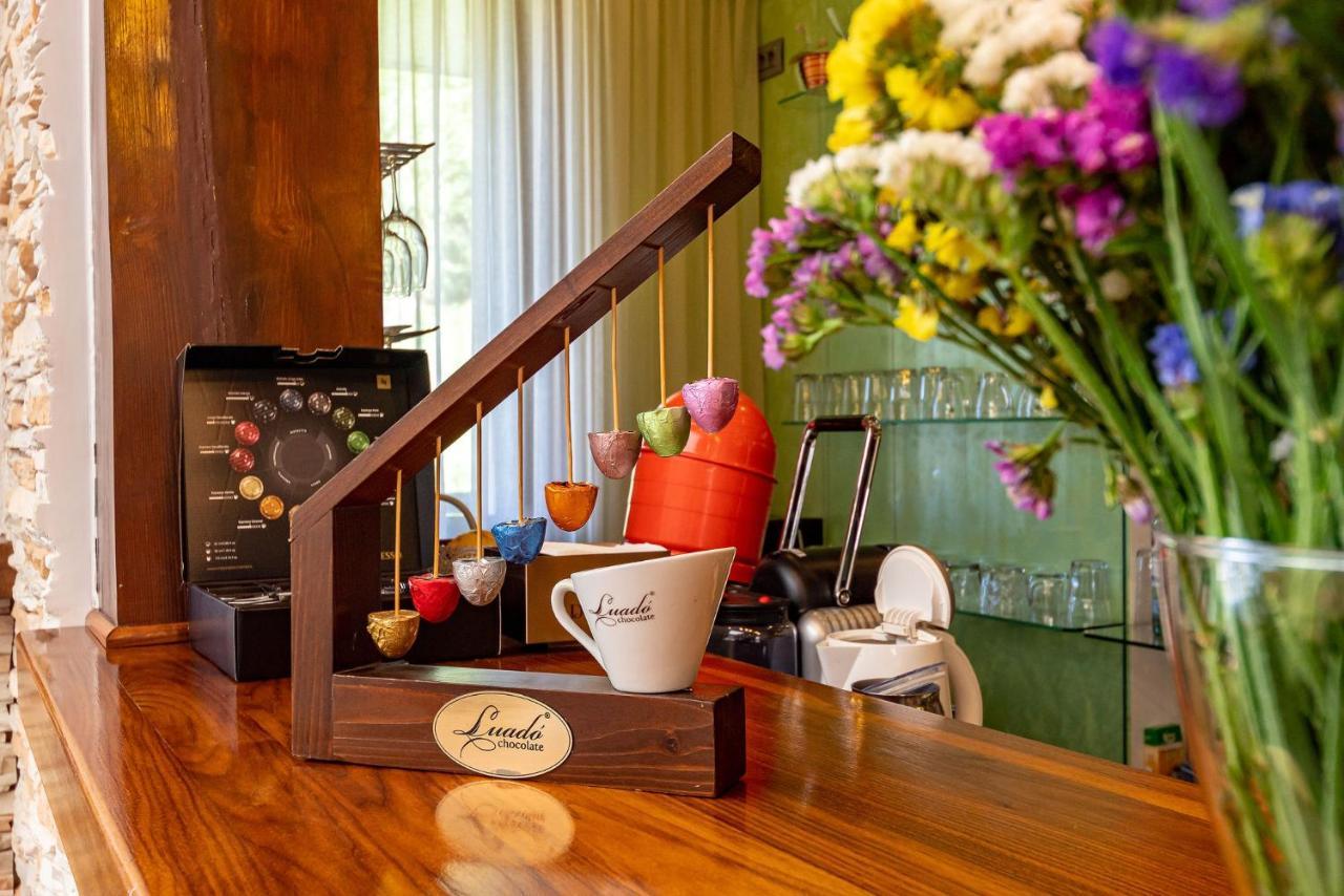 Casa Freya 4* Buşteni